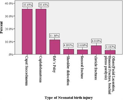 Prevalence and associated factors of birth injury among neonates admitted at <mark class="highlighted">neonatal intensive care unit (NICU)</mark> in governmental hospitals of Southwest Ethiopian people regional state, Ethiopia: A multicenteric cross-sectional study